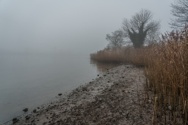 250102 Schiedam in de mist Getijdengied Bas Braad Photography4